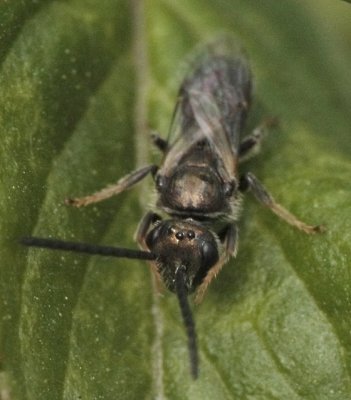 2E1Z9409.jpg