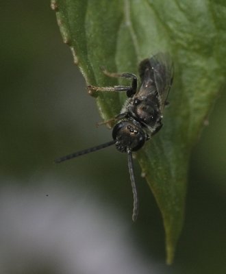 2E1Z9412.jpg