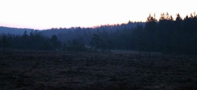 Before dusk Djurholmen
