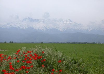 TienShan Mountains Almaty