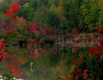 Montezuma National Wildlife Refuge