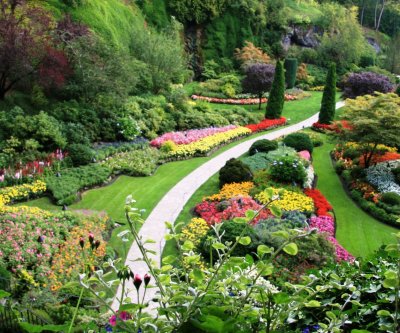 Butchart Gardens