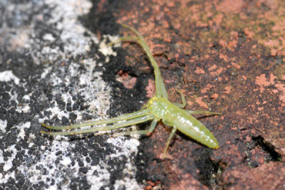 DSC_1368.jpg
