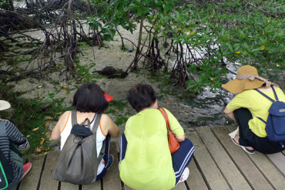 P1020246.jpg