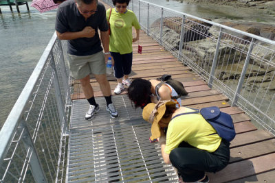 P1020250.jpg