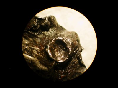 Sikhote-Alin Meteorite  w crater 1608.jpg