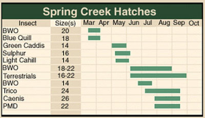 Spring Creek Hatches.jpg
