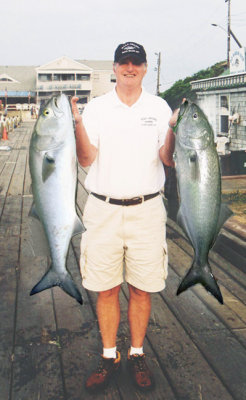 Franks Bluefish - We heard that Franks bluefish were cut up for bait....a shame...at least he looks good holding these babies!