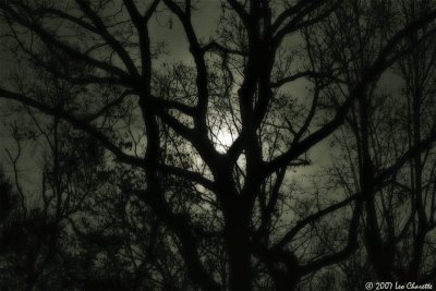 Moody Moon