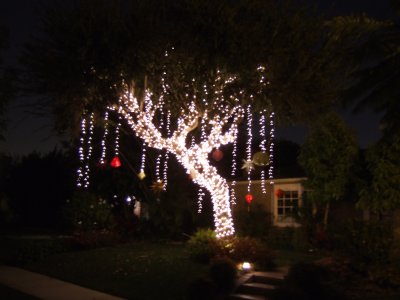 The big tree in the yard is decorated for Christmas with lights and chinese lanterns.