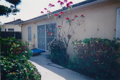 The backyard looking onto the house.  Too much concrete and the shrubs look terrible. And there are bars on the windows!