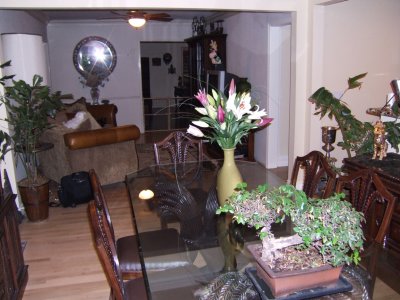 Here is the opposite view -- from the dining room looking back to the sitting room and the front living room beyond that.