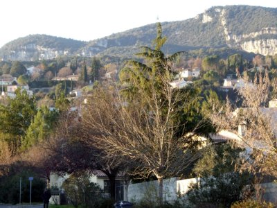 The view from the house.
