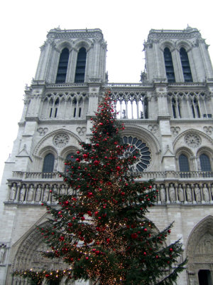 Notre Dame with Christmas Tree.