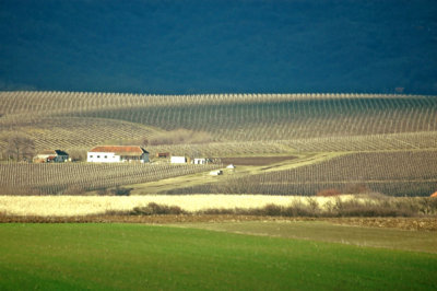 Vrsac, February 2007