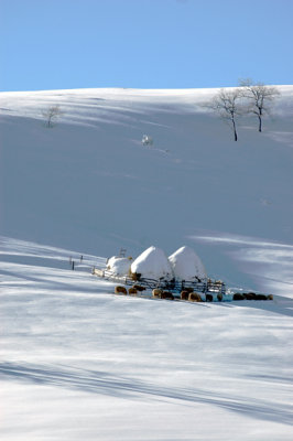 Zlatibor, Serbia