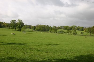 IMG_1846.jpg