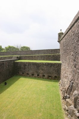 IMG_1858.jpg