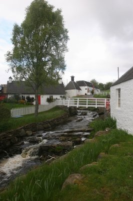 IMG_1925.jpg