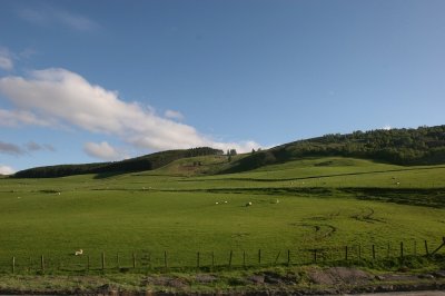 IMG_1926.jpg
