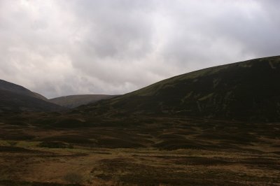 IMG_1928.jpg
