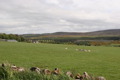 IMG_1938.jpg