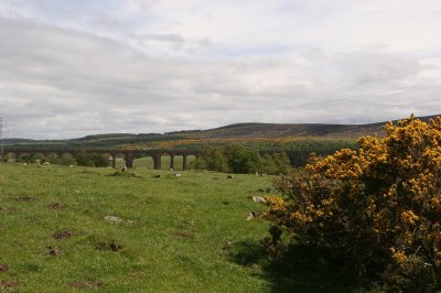IMG_1940.jpg