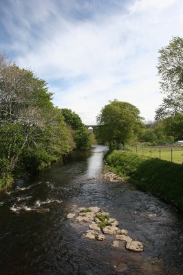 IMG_1945.jpg