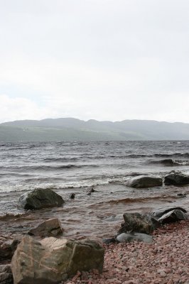IMG_1971.jpg