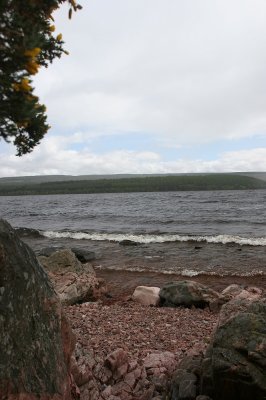 IMG_1976.jpg