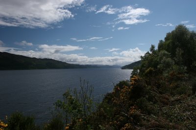 IMG_1979.jpg