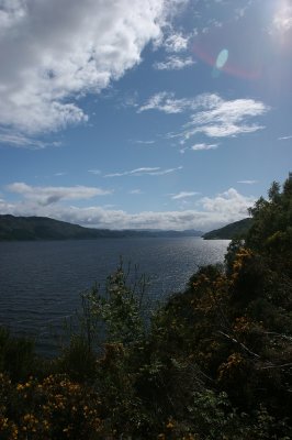 IMG_1980.jpg