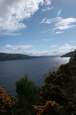 IMG_1981.jpg