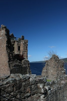 IMG_1995.jpg