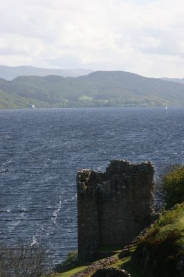 IMG_2004.jpg