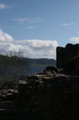 IMG_2008.jpg