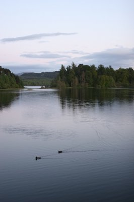 IMG_2027.jpg