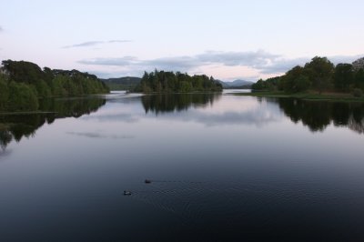 IMG_2029.jpg
