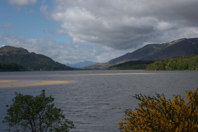 IMG_2035.jpg