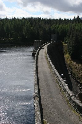 IMG_2040.jpg