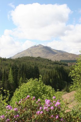 IMG_2041.jpg