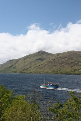 IMG_2052.jpg