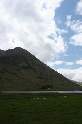 IMG_2062.jpg