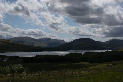 IMG_2079.jpg