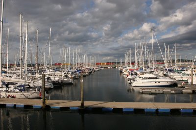 IMG_2082.jpg