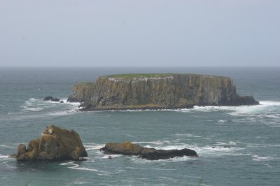 IMG_2087.jpg