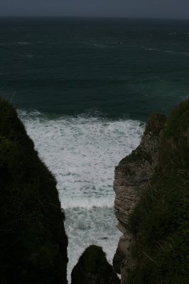 IMG_2088.jpg