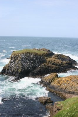 IMG_2097.jpg