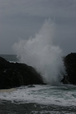 IMG_2106.jpg