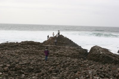 IMG_2122.jpg